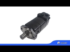 BMK2 সিরিজ Geroler Orbital Motors 315ml/r 1740 PSI 19.81 GPM 2 বোল্ট ওভাল ফ্ল্যাঞ্জ