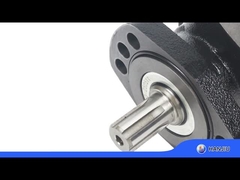 BMER-2-300-FH-SW হাইড্রোলিক মোটর কম গতি উচ্চ টর্ক ১৮.০৮ ঘন ইঞ্চি স্থানচ্যুতি