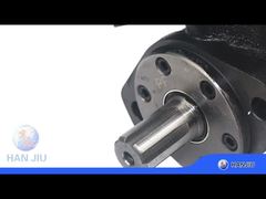 BMP-200-2-E-D-B হাইড্রোলিক মোটর ত্রাণ ভালভ সহ, SAE 6B শ্যাফ্ট, BSPP পোর্ট