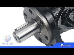 পিছনের পোর্ট BMR160 মোটর সহ হাইড্রোলিক মোটর