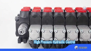 DCV60 সেকশন ভালভ