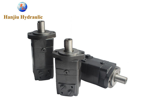 80 সিসি 100 সিসি 250 সিসি 315 সিসি 2 বোল্ট শ্যাফ্ট 31.75 জি 1/2 বিএমএসআই হাইড্রোলিক মোটর